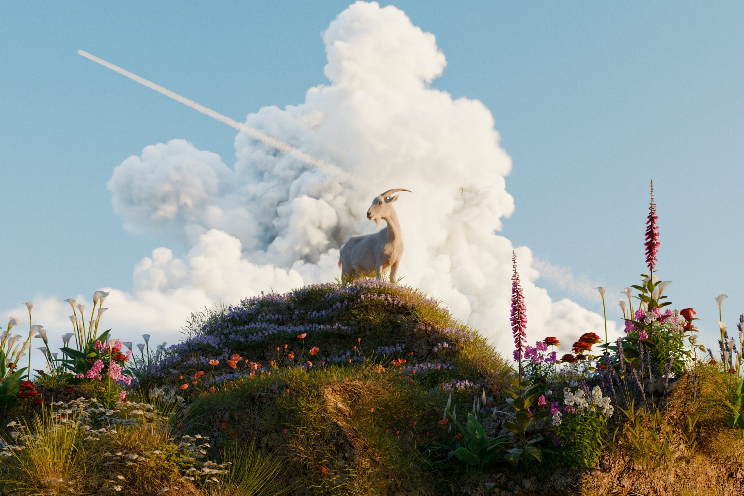 diego ph wc ysrb uvi unsplash scaled.jpg